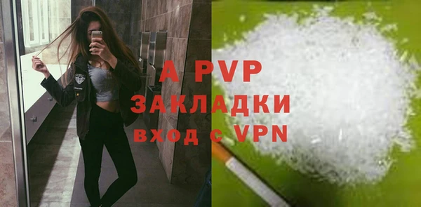 PSILOCYBIN Баксан