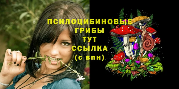 PSILOCYBIN Баксан