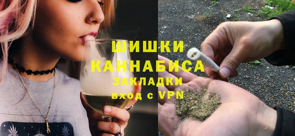 PSILOCYBIN Баксан