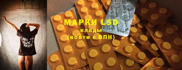 PSILOCYBIN Баксан